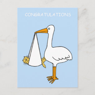 Congratulations, New Pet Cat/Kitten Postcard