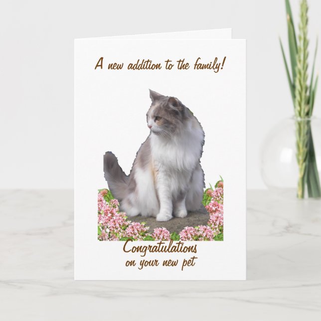 Congratulations on new pet cards, customise card (Front)