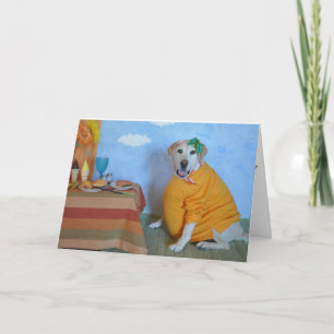 Congratulations on pregnancy greeting card