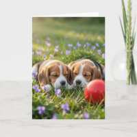 Congratulations on Two New Puppies Welcome Beagles
