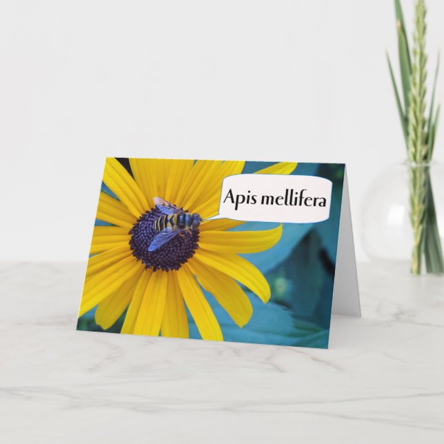 Congratulations on Winning Spelling Bee Card (Front)