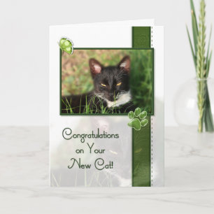 Congratulations on Your New Cat Card