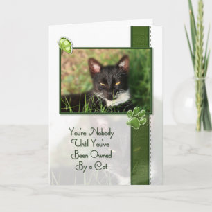 Congratulations on Your New Cat Quote Card