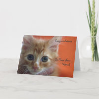 Congratulations on Your New Kitten