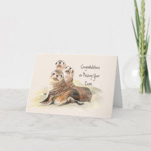 Congratulations Passing Your Exam Humor Cute Seals Card