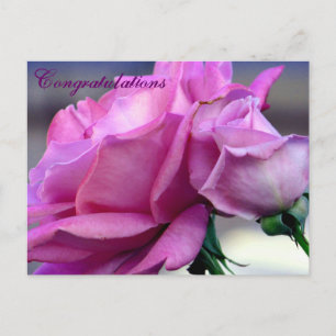 Congratulations_ Postcard