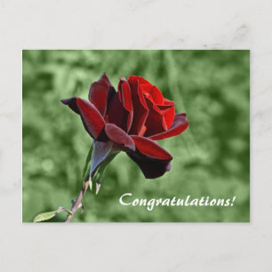 Congratulations Postcard