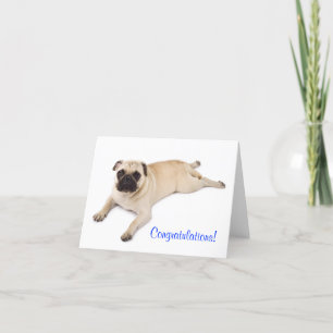 Congratulations Pug Blank Note Card