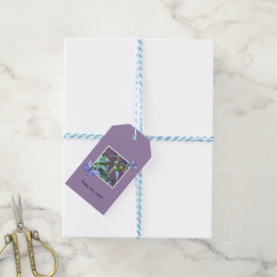 Congratulations: Ready, Set, Learn! Back to School Gift Tags