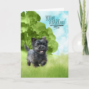 Congratulations reBARKable Affenpinscher Dog Card