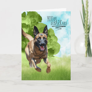Congratulations reBARKable Belgian Malinois Dog Card