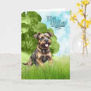 Congratulations reBARKable Border Terrier Dog Card