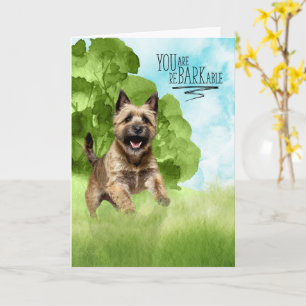 Congratulations reBARKable Cairn Terrier Dog Card