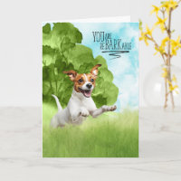 Congratulations reBARKable Jack Russell Dog