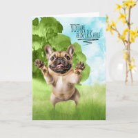 Congratulations reBARKable Tan French Bulldog