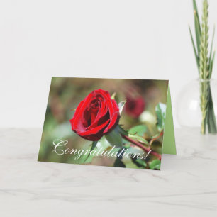 Congratulations Red Rose Card