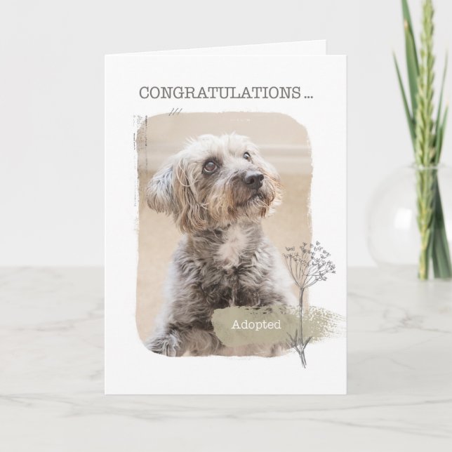 Congratulations Shelter Dog Adoption Card (Front)