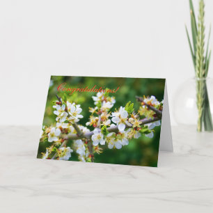 Congratulations - Sun-Dappled Spring Hawthorn Card