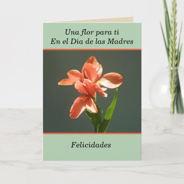 Congratulations to you on the day of las madres card (Front)