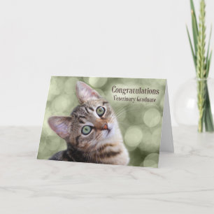 Congratulations Veterinary Graduate Tabby Kitten Card