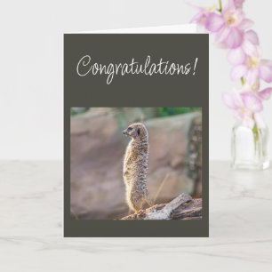 Congratulations You are Outstanding! Card