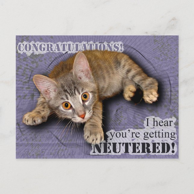 Congratulations! You're being neutered! Postcard (Front)