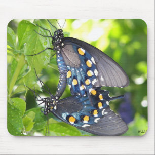Congress, Arizona Pipevine Swallowtail Butterfly Mouse Mat