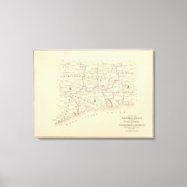 Congressional districts canvas print (Front)