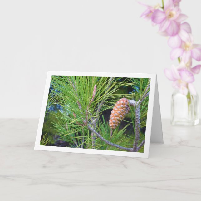 Conifer Cone on Pine Tree Card (Orchid)