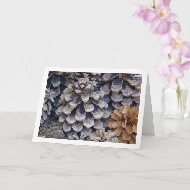 Conifer Cones Card (Orchid)