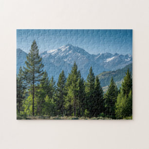 Coniferous Trees with Mountain Background Jigsaw Puzzle