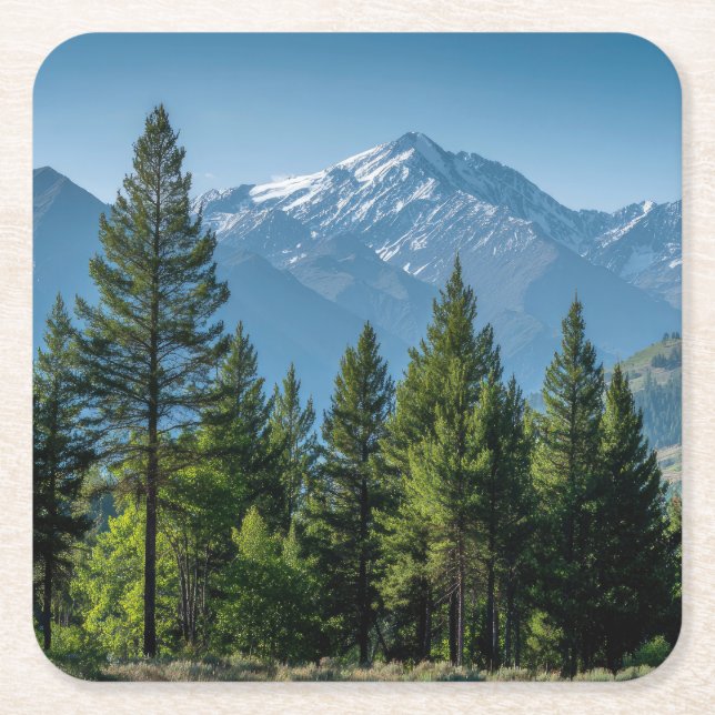 Coniferous Trees with Mountain Background Square Paper Coaster (Front)