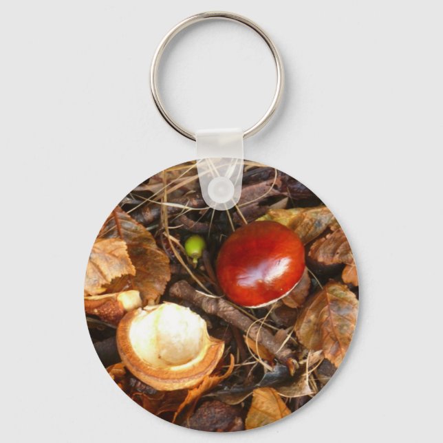 Conker and Seed Case Keychain (Front)