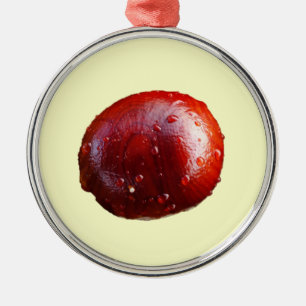 Conker Ornament