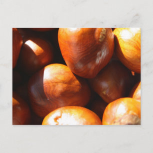 Conkers Postcard