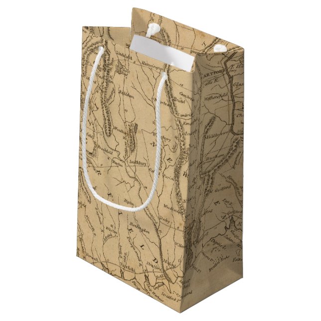 Connecticut 12 small gift bag (Back Angled)