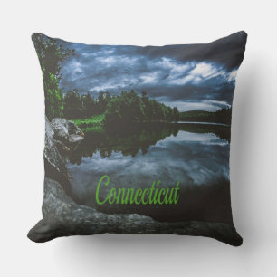Connecticut Beutiful Lake Trees Cushion