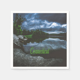 Connecticut Beutiful Lake Trees Napkin