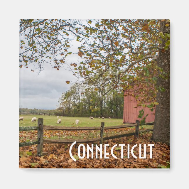 Connecticut Fall Farm Magnet (Front)