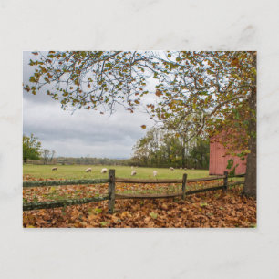 Connecticut Fall Farm Postcard