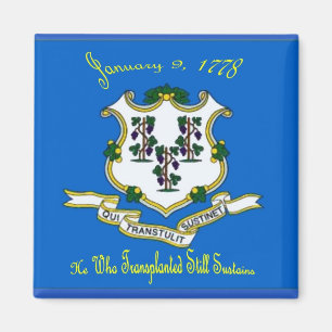 Connecticut Flag Magnet