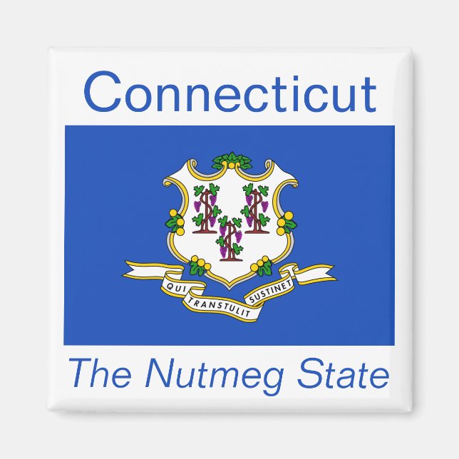Connecticut Flag Magnet (Front)