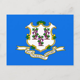 Connecticut Flag Postcard
