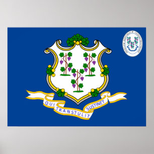 Connecticut flag poster