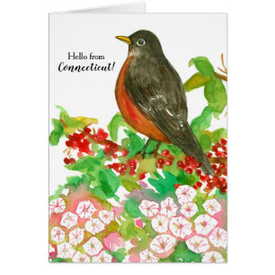 Connecticut Greetings American Robin State Bird