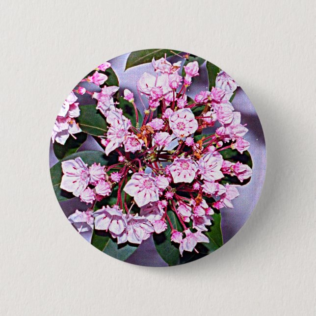 Connecticut Mountain Laurel 6 Cm Round Badge (Front)