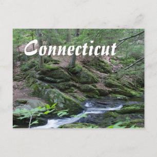 Connecticut Postcards - New England Scenery