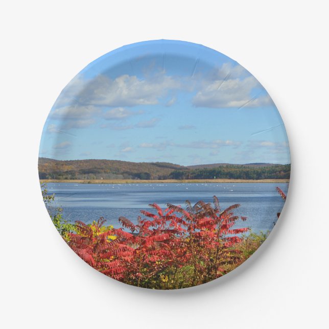 Connecticut River Paper Plate (Front)