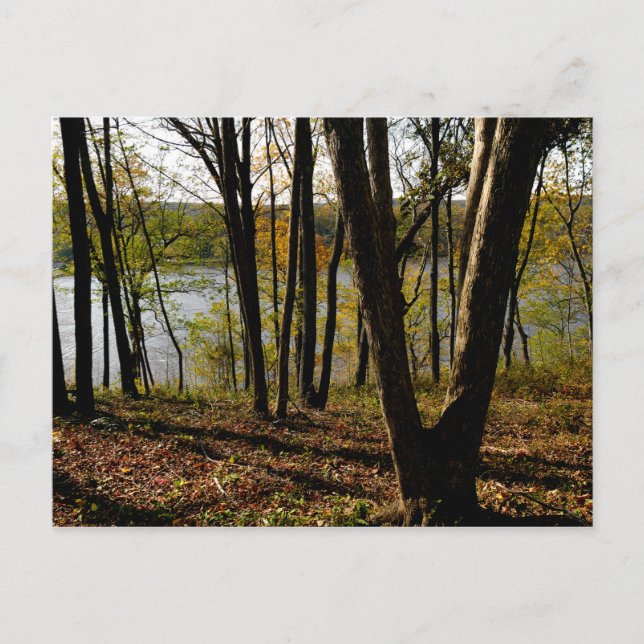 Connecticut River Postcard (Front)