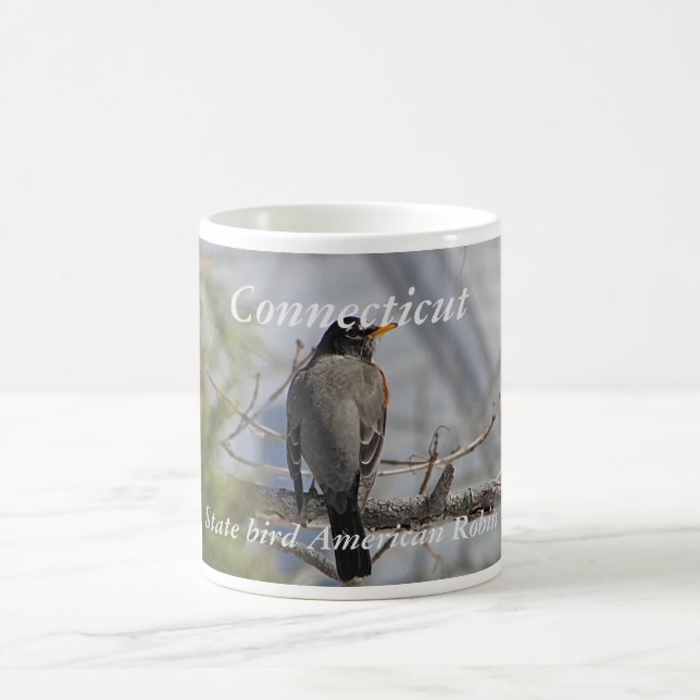 Connecticut state bird photo mug (Center)